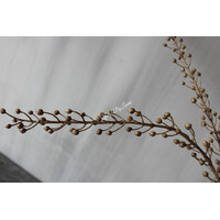 Namaak lange bruine bes tak Scrofularia 105cm