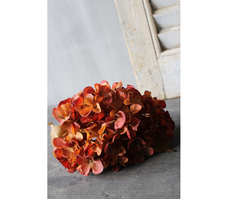 Namaak hortensia camel brown 50cm