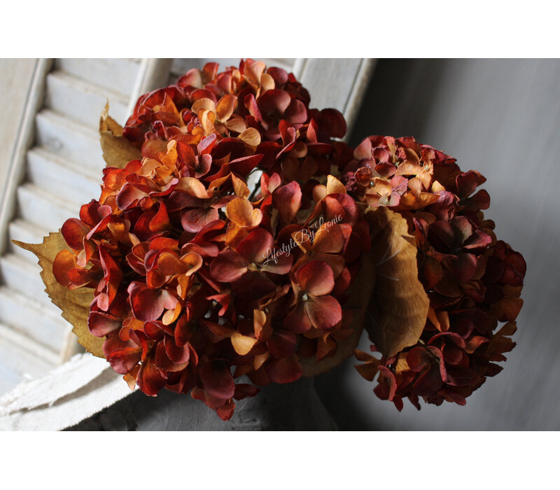 Namaak hortensia camel brown 50cm
