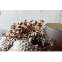 Namaak bos / deco bol Eucalyptus Burgundy 23cm