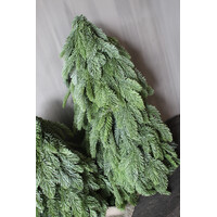 Real touch nobilis boom 64cm
