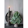Real touch nobilis boom 35cm