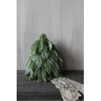 Real touch nobilis boom 35cm