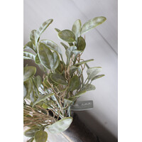 Brynxz bush stachys grey 32cm