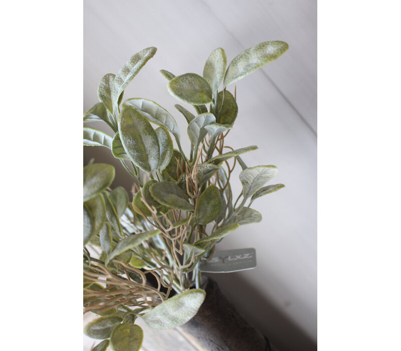 Brynxz bush stachys grey 32cm