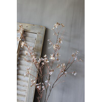 Sylxz wilde hortensia Beige 110cm