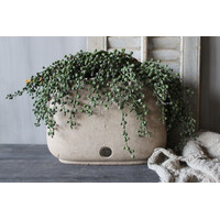Brynxz ovale pot met oren Taupe 36x16x24cm