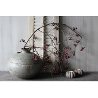 Sylxz wilde Rozenbottel tak 110 cm