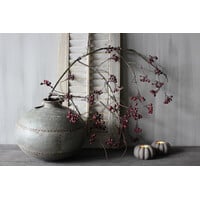 Sylxz wilde rozenbottel tak 110cm