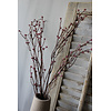 Brynxz Sylxz willow tak Mauve 100cm