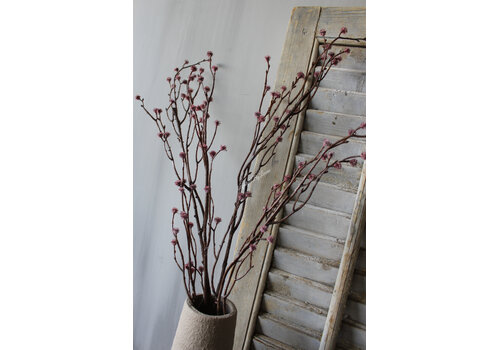 Brynxz Sylxz Willow tak Mauve 100 cm