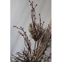 Sylxz willow tak Mauve 100cm