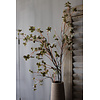 Brynxz Sylxz wilde hortensia Green 110cm