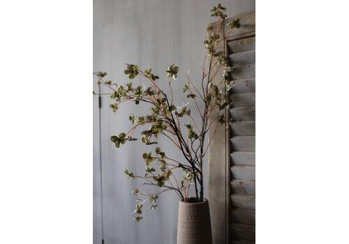 Brynxz Sylxz wilde Hortensia green 110 cm