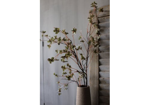 Brynxz Sylxz wilde hortensia Green 110cm