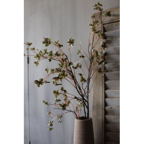 Sylxz wilde Hortensia green 110 cm 