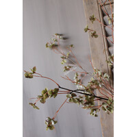 Sylxz wilde hortensia Green 110cm