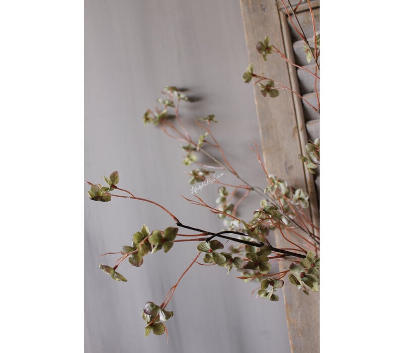 Sylxz wilde hortensia Green 110cm