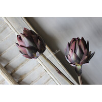 Sylxz artisjok Green 48cm
