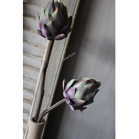 Sylxz artisjok Purple 48cm