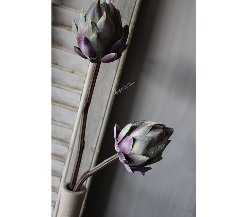 Sylxz artisjok Purple 48cm