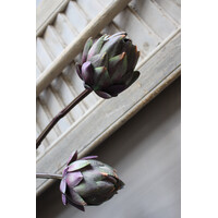 Sylxz artisjok Purple 48cm
