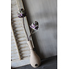 Brynxz Sylxz artisjok Purple 48cm