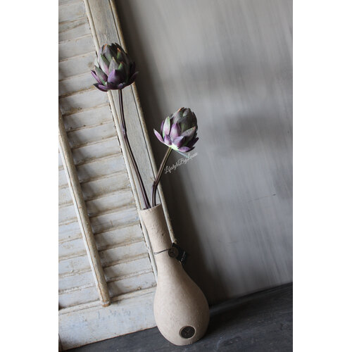 Sylxz artisjok Purple 48cm 