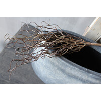 Sylxz twig bush brown 35cm