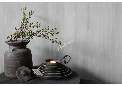 Aura Peeperkorn Aura Peeperkorn set van 5 houten schalen