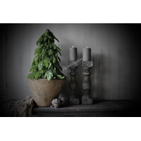 Real touch Nobilis boom 64 cm
