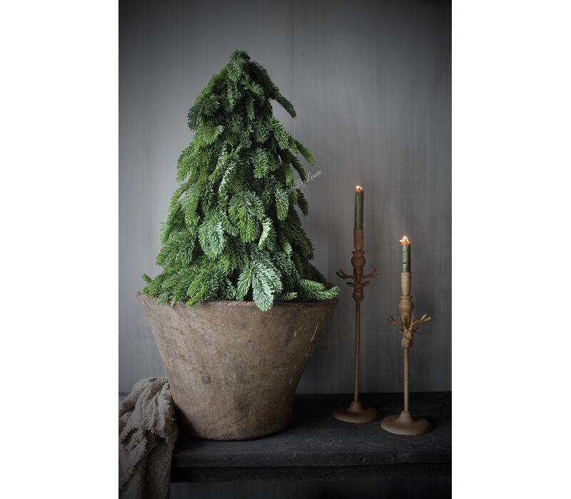 Real touch Nobilis boom 64 cm