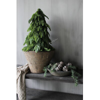 Real touch Nobilis boom 64 cm