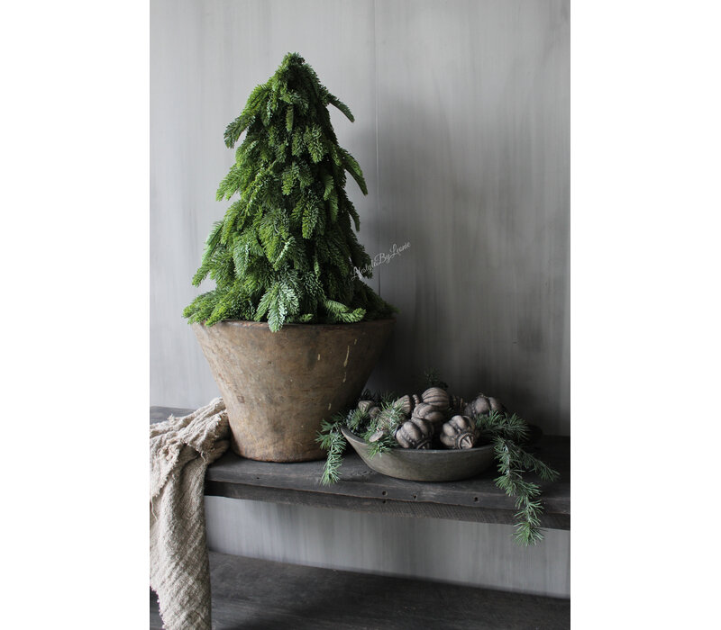 Real touch Nobilis boom 64 cm