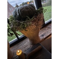 Tillandsia krans Grey 45cm