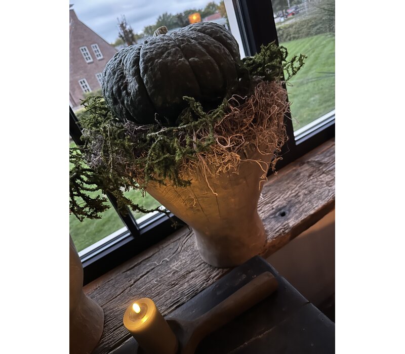 Tillandsia krans Grey 45cm