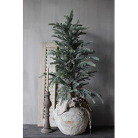 Namaak blauwspar in pot 115cm