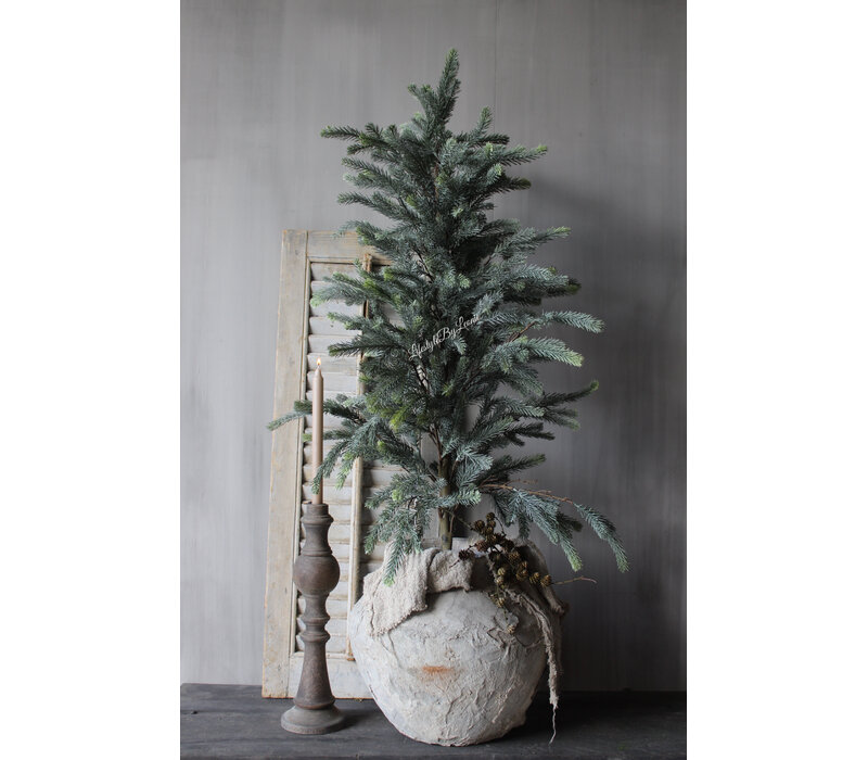 Namaak blauwspar in pot 115cm