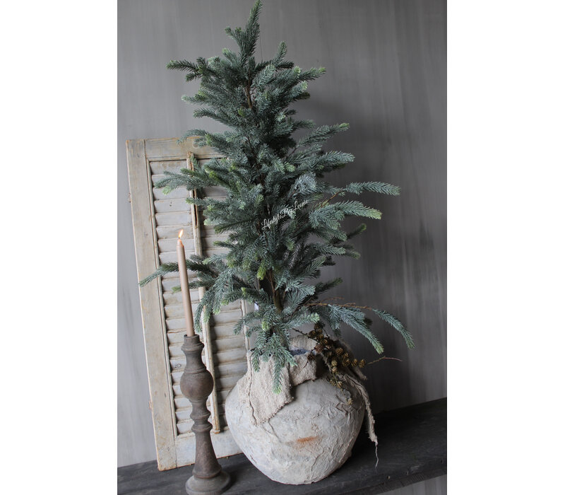 Namaak blauwspar in pot 115cm