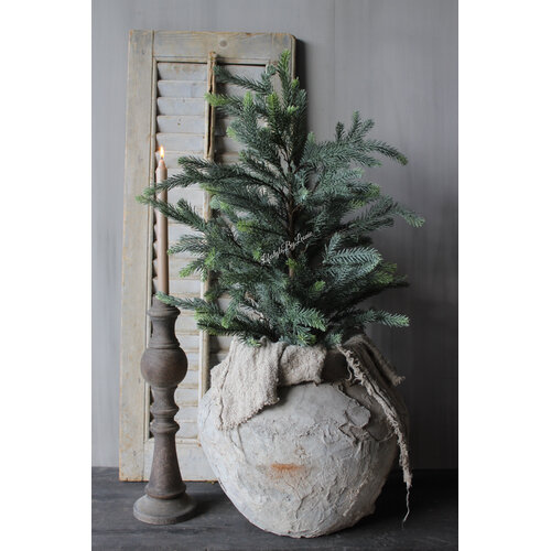Namaak Blauwspar in pot 115 cm 