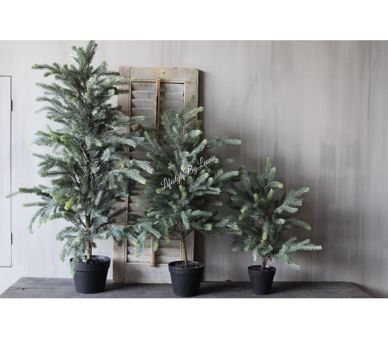 Namaak blauwspar in pot 115cm