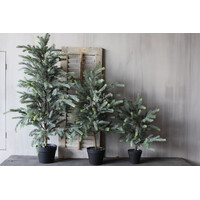 Namaak blauwspar in pot 90cm