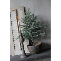 Namaak blauwspar in pot 90cm