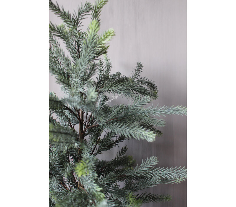 Namaak blauwspar in pot 90cm