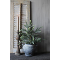 Namaak blauwspar in pot 60cm