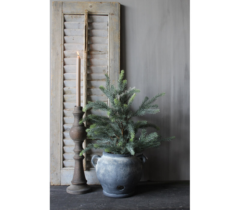 Namaak blauwspar in pot 60cm