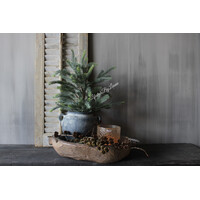 Namaak blauwspar in pot 60cm