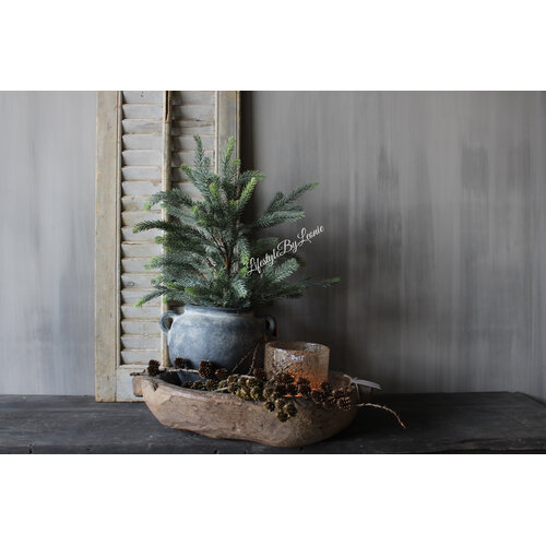 Namaak blauwspar in pot 60cm 