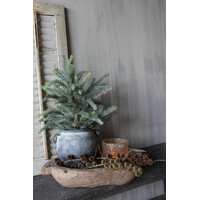 Namaak blauwspar in pot 60cm