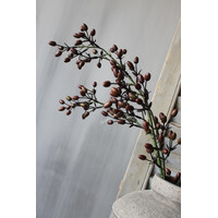 Brynxz Alnus / Rozenbottel tak brown 80 cm